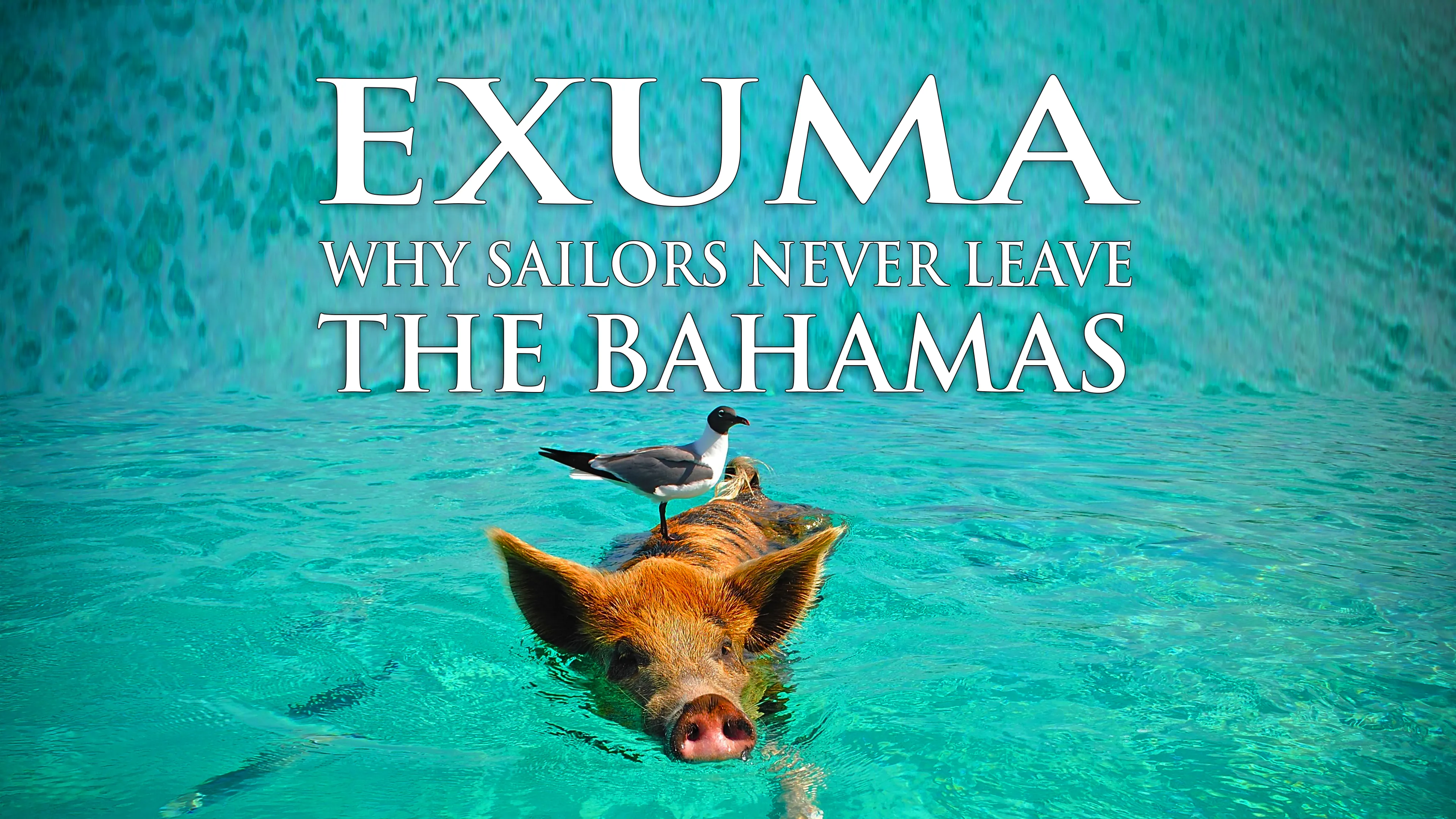 Title poster image